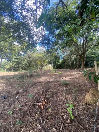 Lote 357m²
