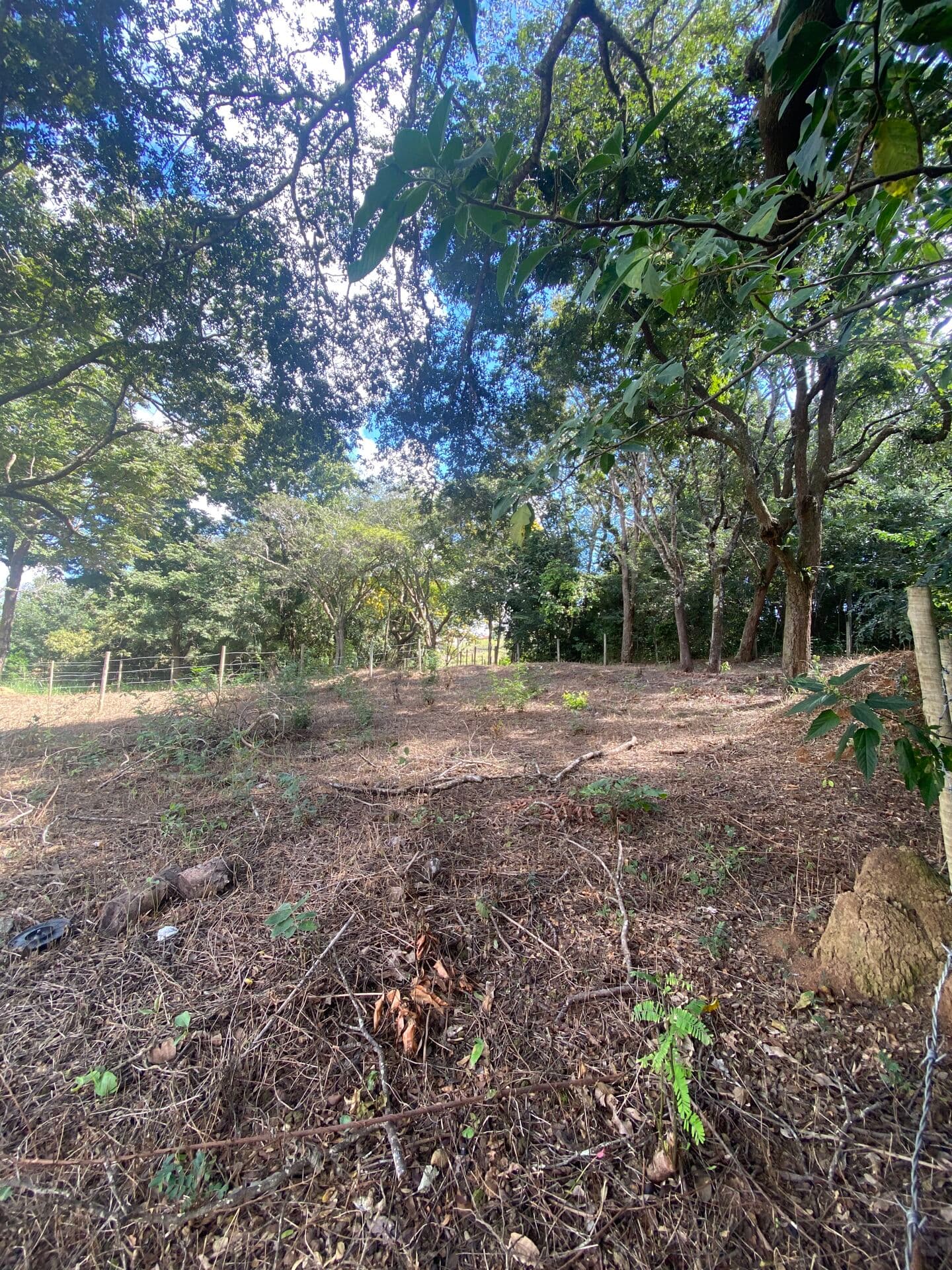 Lote 357m²