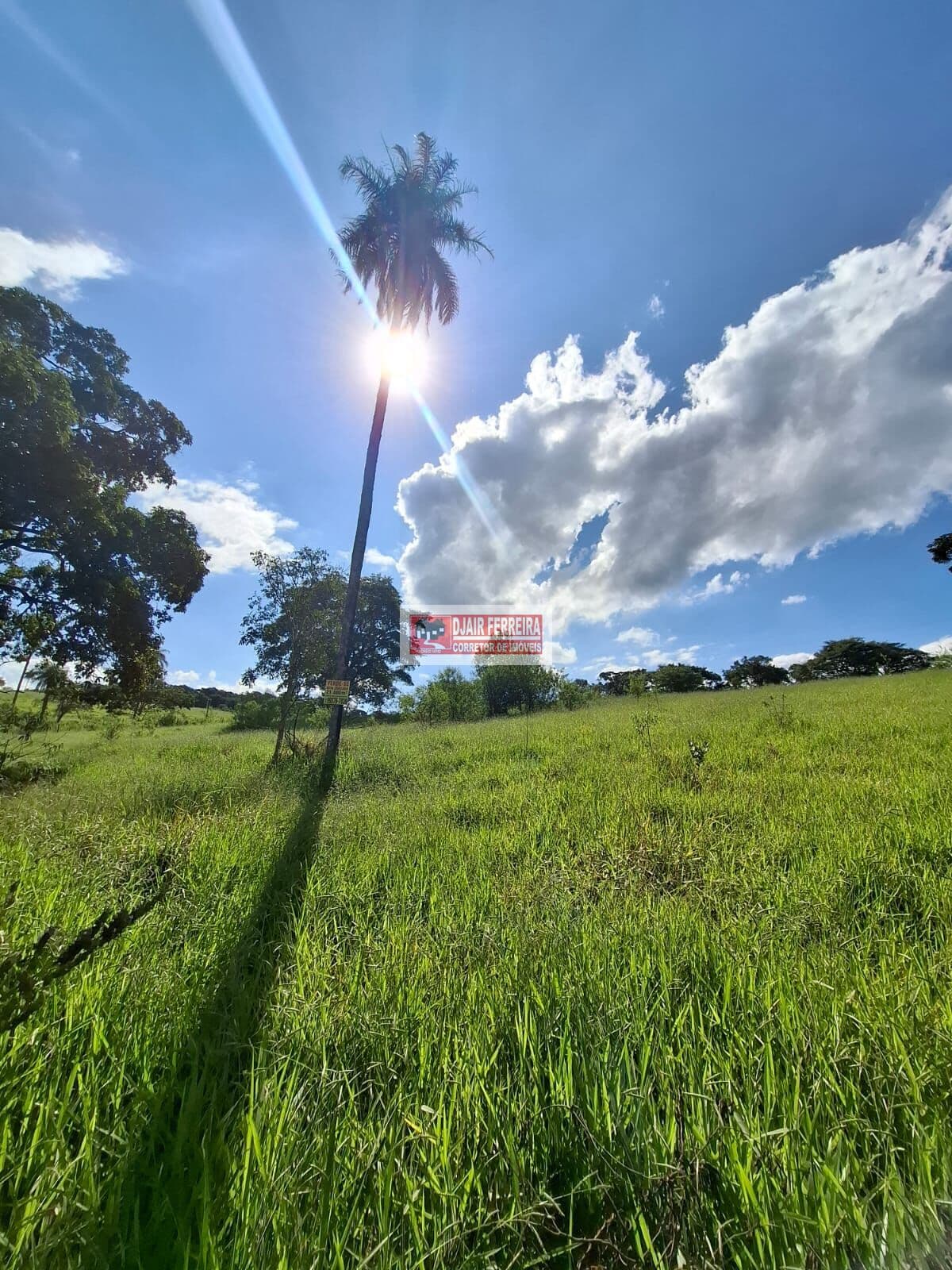 Chácara 21.800m²