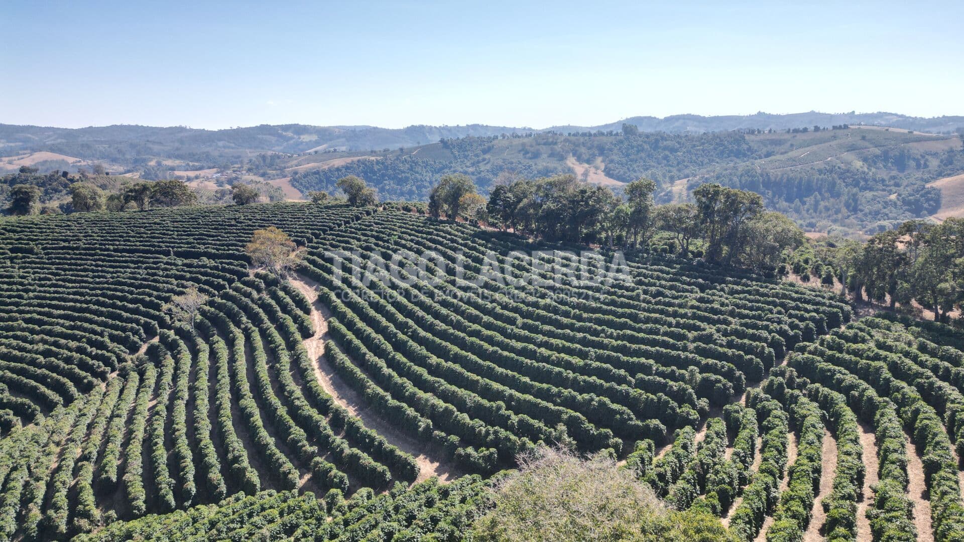 Sítio Produtivo em Bandeira do Sul/MG — Café, Pastagem e Alto Potencial Agrícola
