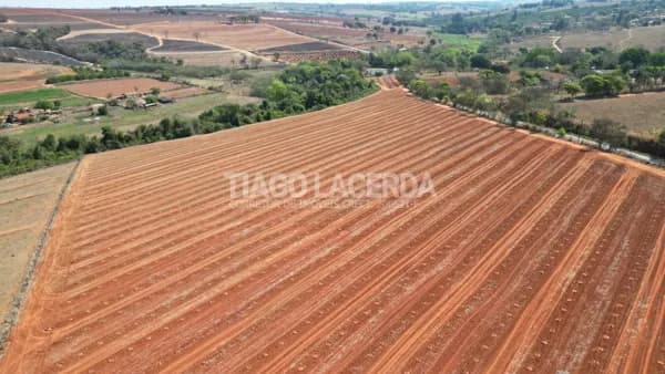 2,9 Alqueires com Laranja Plantada Próximo a Artur Nogueira