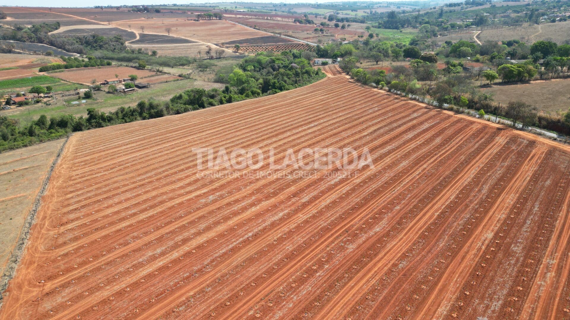 2,9 Alqueires com Laranja Plantada Próximo a Artur Nogueira