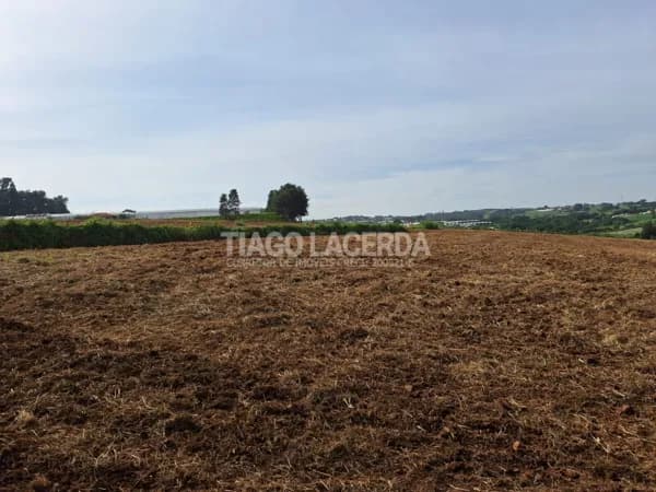 Sítio em Holambra! 5,6 ha com Lago, Córrego e ótima topografia e casa simples