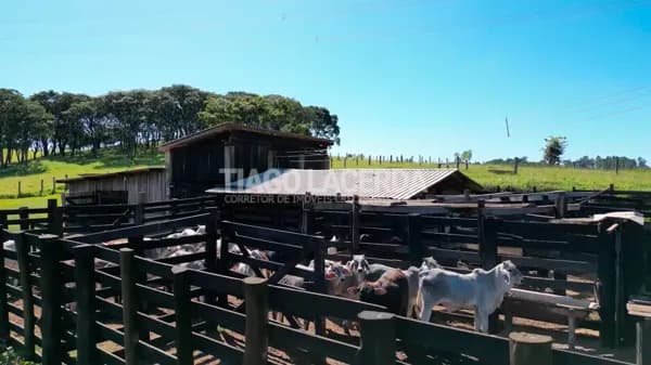 Sítio à Venda em Amparo – Divisa com Santo Antônio de Posse | 30 Alqueires