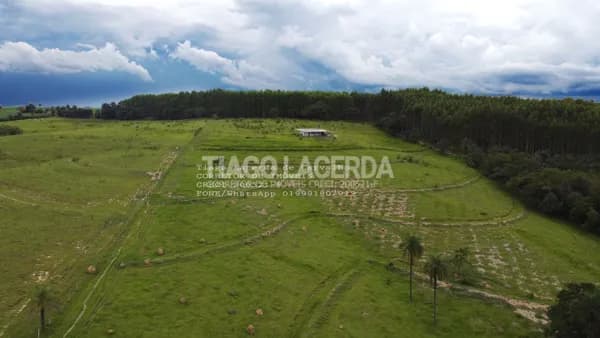 Propriedade rural município de Artur Nogueira próximo a Holambra – opção com permuta