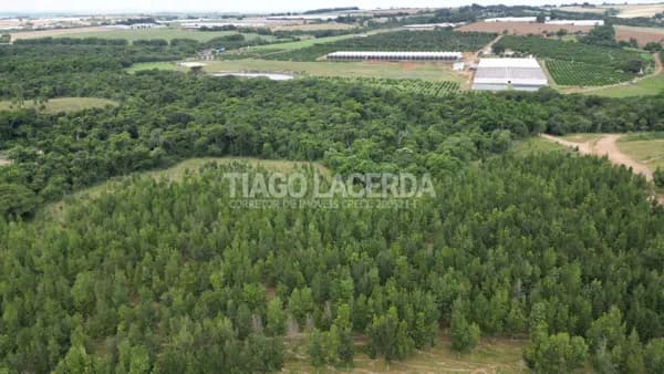 Fazenda de 52 Alqueires em Artur Nogueira – Próxima a Holambra
