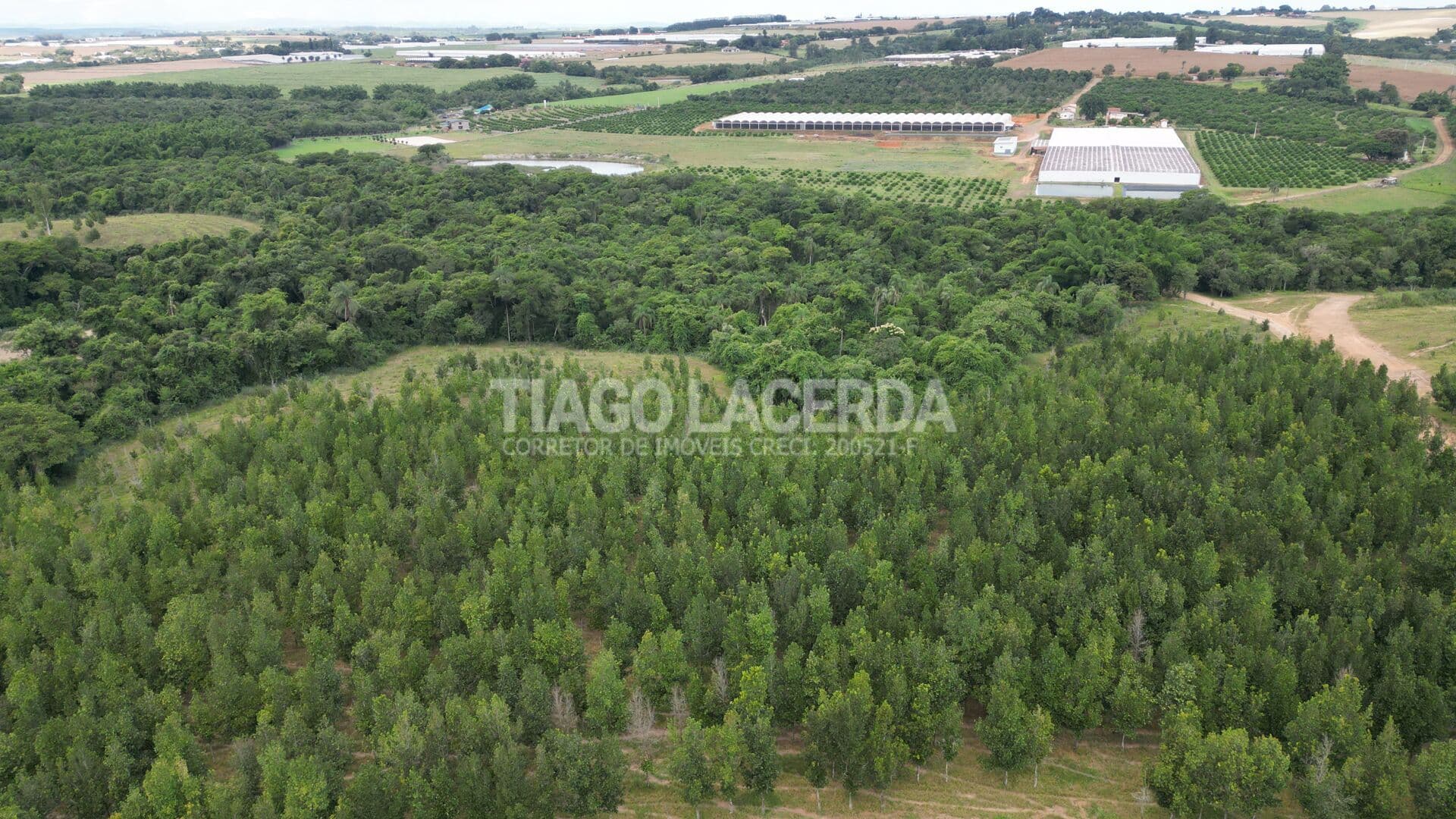 Fazenda de 52 Alqueires em Artur Nogueira – Próxima a Holambra
