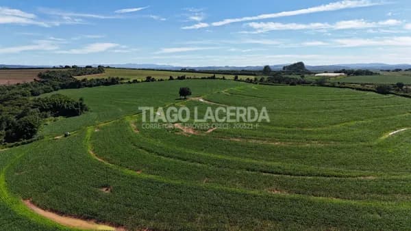 Sítio agrícola à venda em Mogi Guaçu – 24,64 alqueires