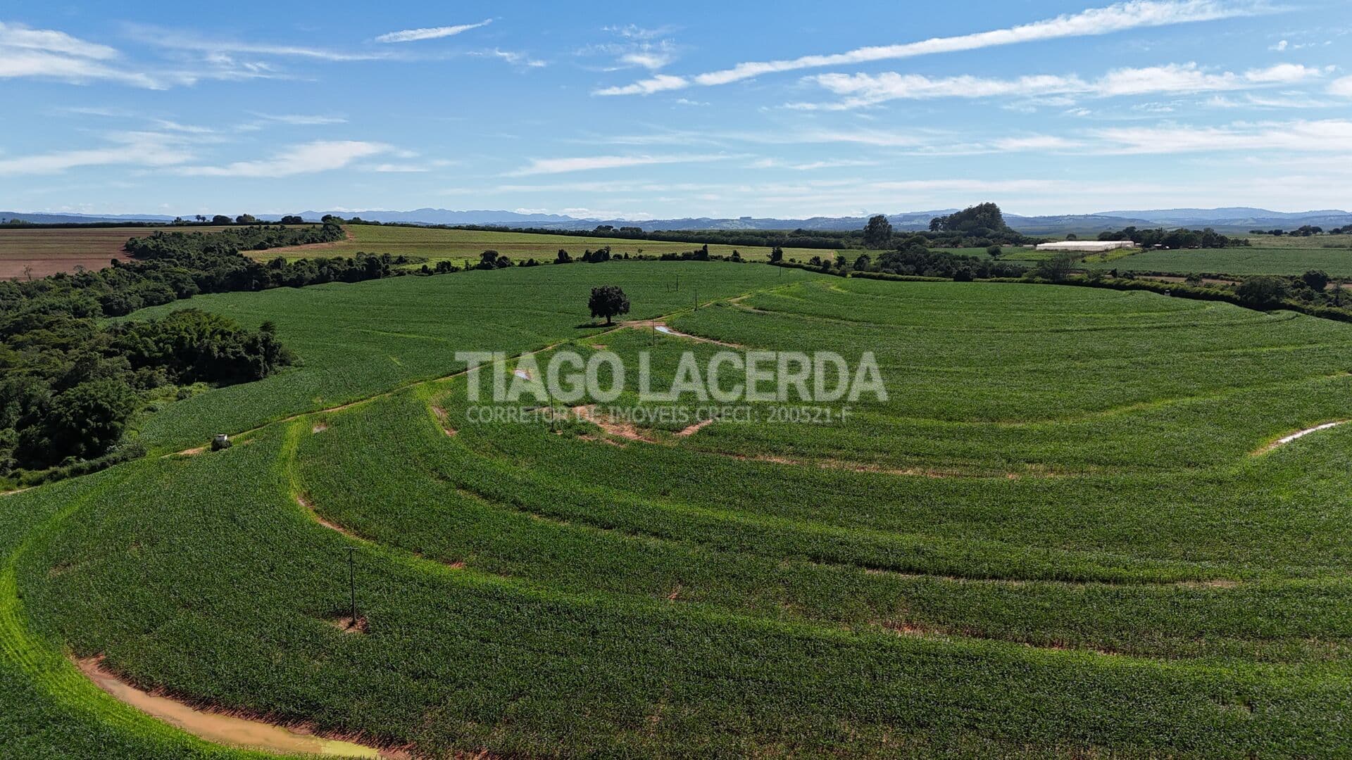 Sítio agrícola à venda em Mogi Guaçu – 24,64 alqueires