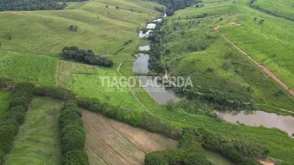 Fazenda à Venda com 110 alq. paulista por