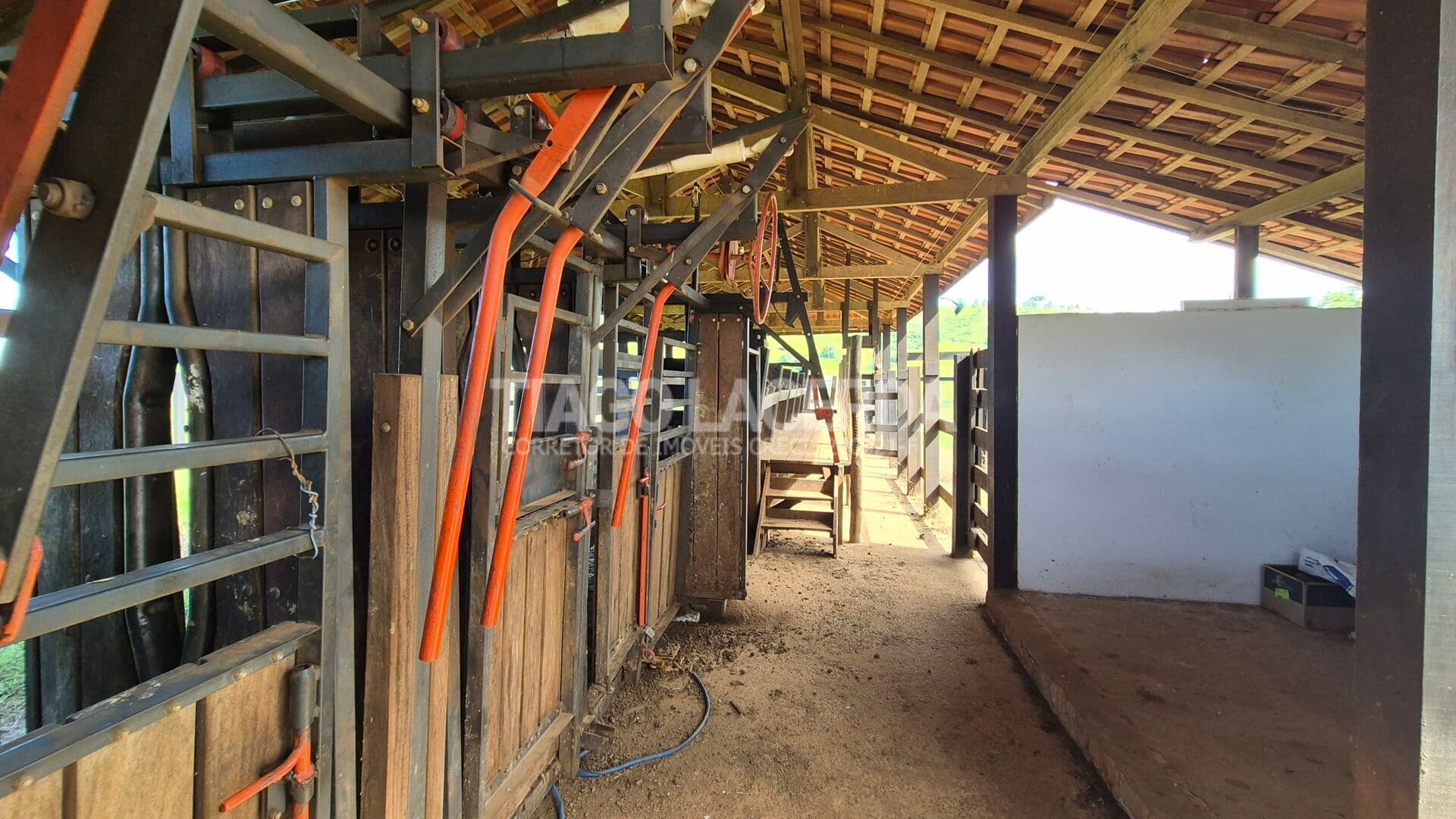 Fazenda de 160 Alqueires em Itapira/SP – Pronta para Recria, Engorda e Alta Produtividade