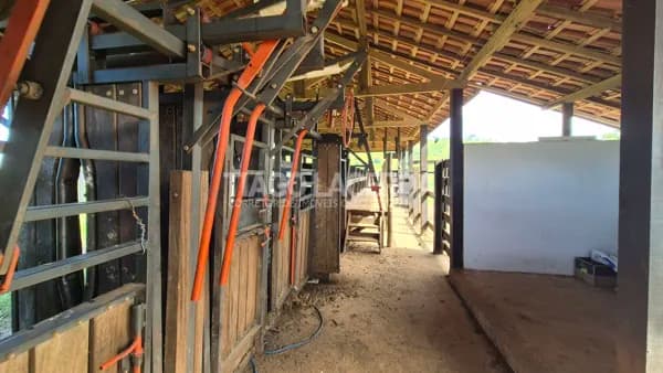 Fazenda de 160 Alqueires em Itapira/SP – Pronta para Recria, Engorda e Alta Produtividade