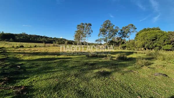 Área de 42.000 m² à Venda em Aguaí/SP – Rica em Água e Ótima Localização