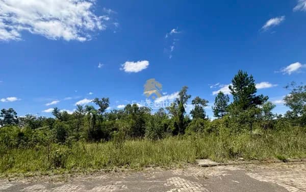 Terreno no loteamento Belos Campos