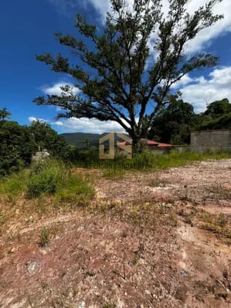 🏡 TERRENO À VENDA – CENTRO DE CANELINHA 🏡