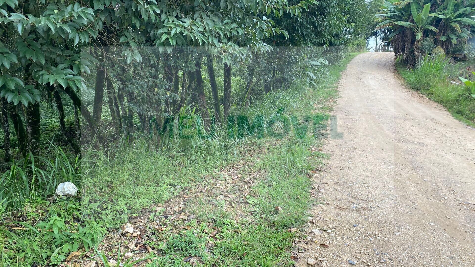 Terreno em São Caetano, Balsa Nova/PR