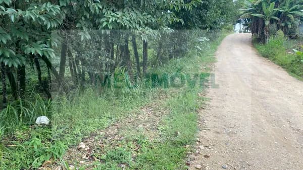 Terreno em São Caetano, Balsa Nova/PR