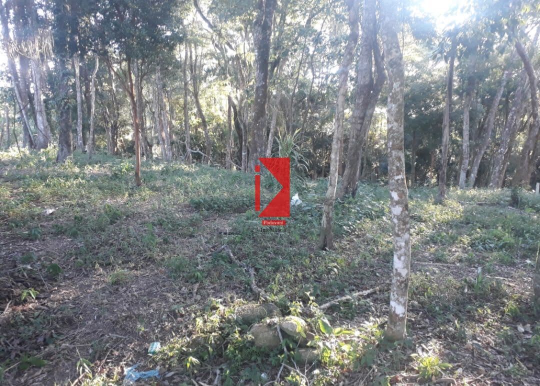 Terreno em Centro, Piedade/SP