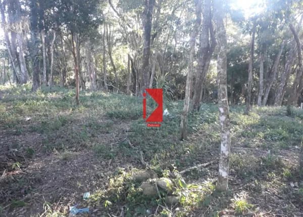 Terreno em Centro, Piedade/SP