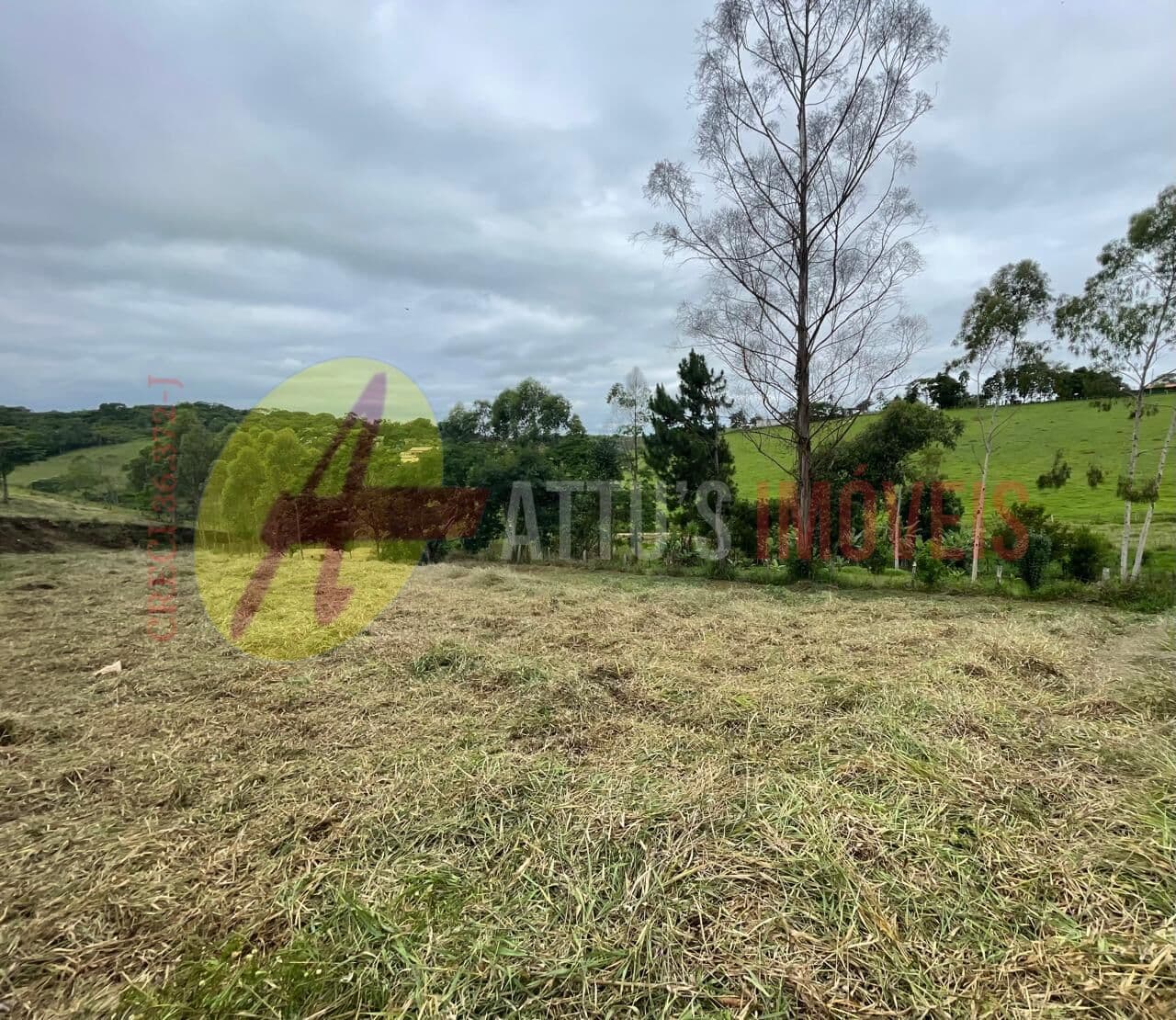 Lote/Terreno em Santa Isabel - Santa Isabel