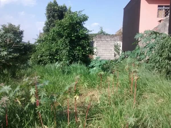 Terreno Terreno para Venda em Cidade Soberana Guarulhos-SP