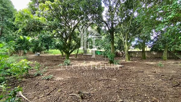 Terreno em Vila Jayara, Anápolis/GO