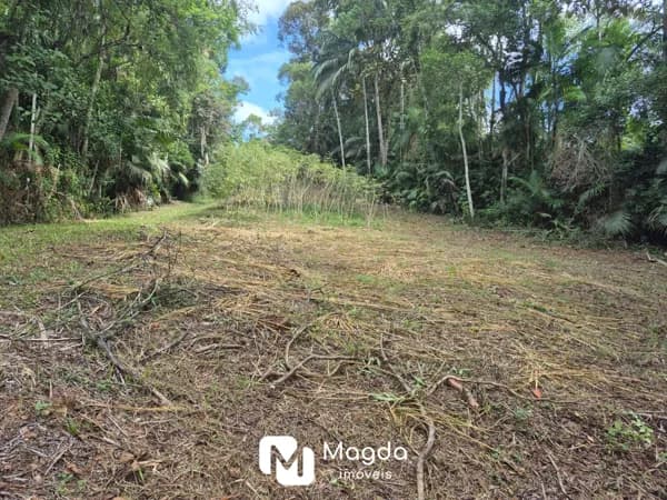 Terreno à venda, 6.935,20 m² por R$ 700.000,00 - Testo Salto - Blumenau/SC