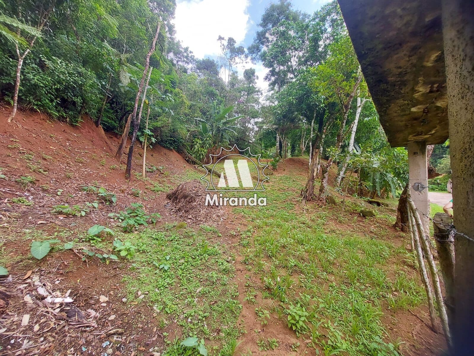 Terreno de 5.000m² no Monte Oliveti