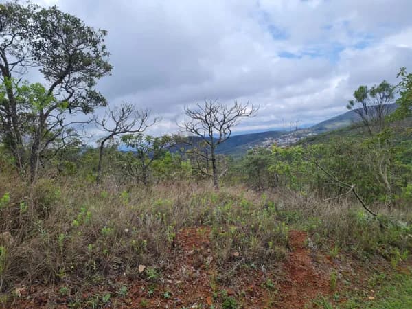 Lote/Terreno em Nova Lima - Serra Dos Manacás