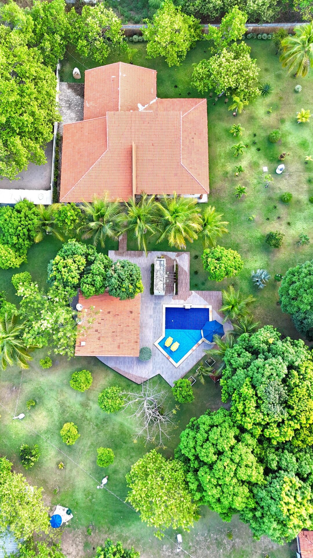 🏞️✨ Sítio incrível à venda no 📍Povoado de Logoa da Mata- Teresina.