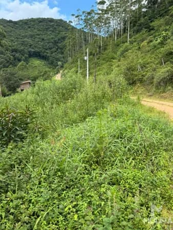 Lote/Terreno em Jaraguá do Sul - Centro