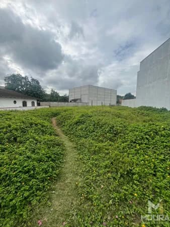 Lote/Terreno em Jaraguá do Sul - Jaraguá 99