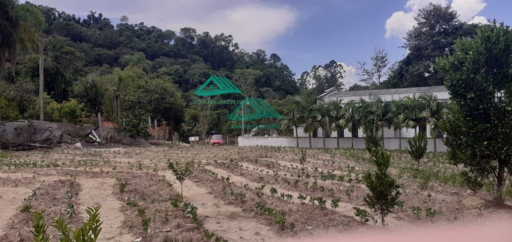 Chácara para Venda em Centro Cerro Azul-PR