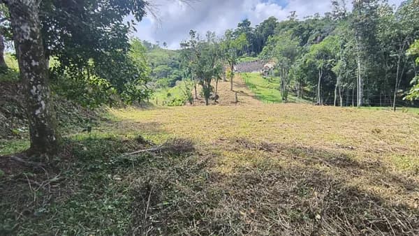 🏞️ TERRENO À VENDA EM SANTO AMARO DA IMPERATRIZ/SC