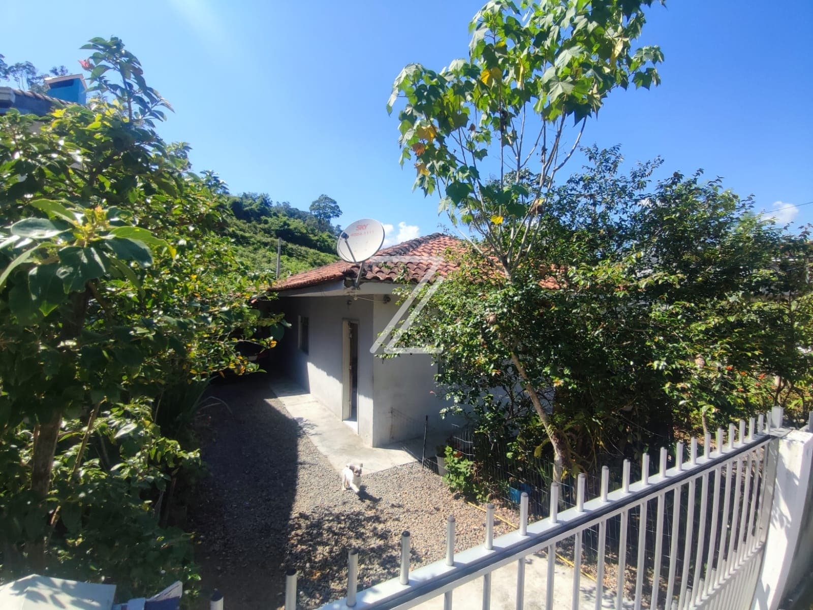 CASA