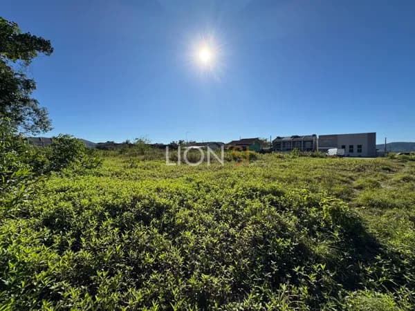 TERRENO PARA INVESTIMENTO
