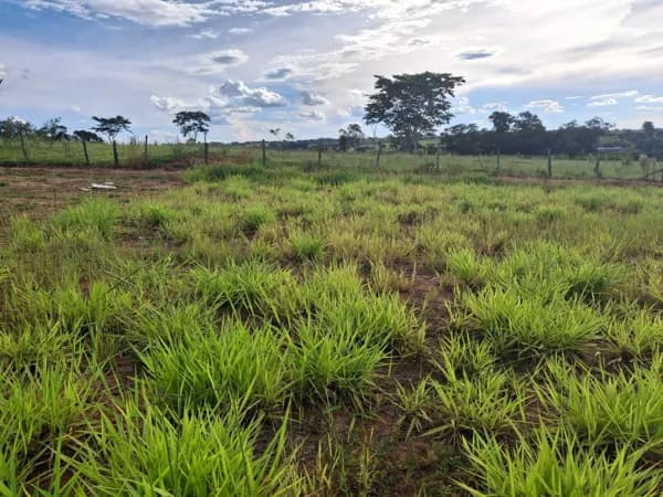 VENDA- TERRENO- LOTEAMENTO SET JARDIM- SCHMITT