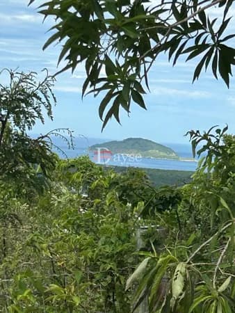 Terreno no Rio Vermelho junto a natureza e com vista maravilhosa