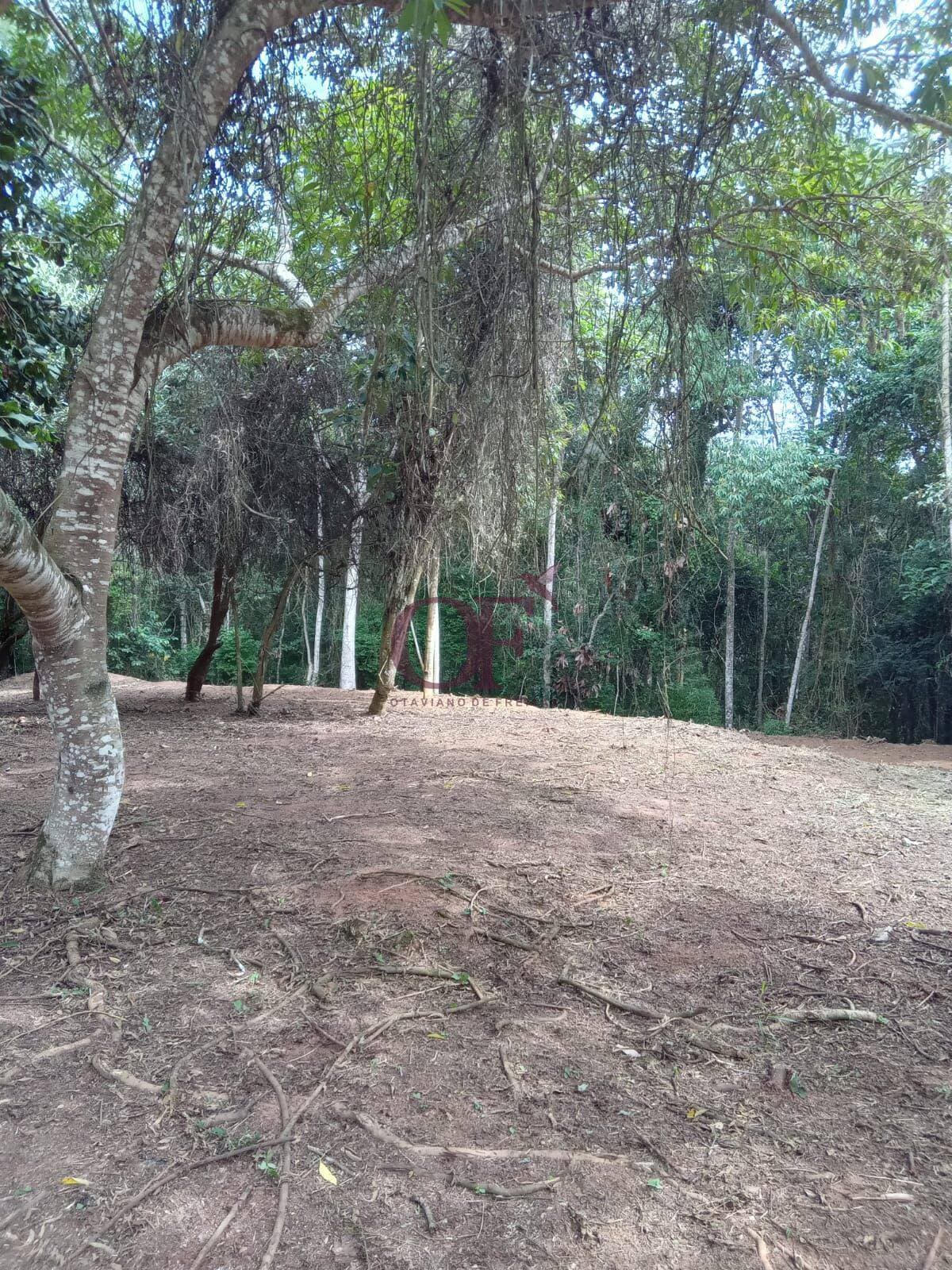 Terreno 5.591 m² no Condomínio Fazenda Campo Verde, área liberada 1.118 m² para construção – Caxambu, Jundiaí/SP