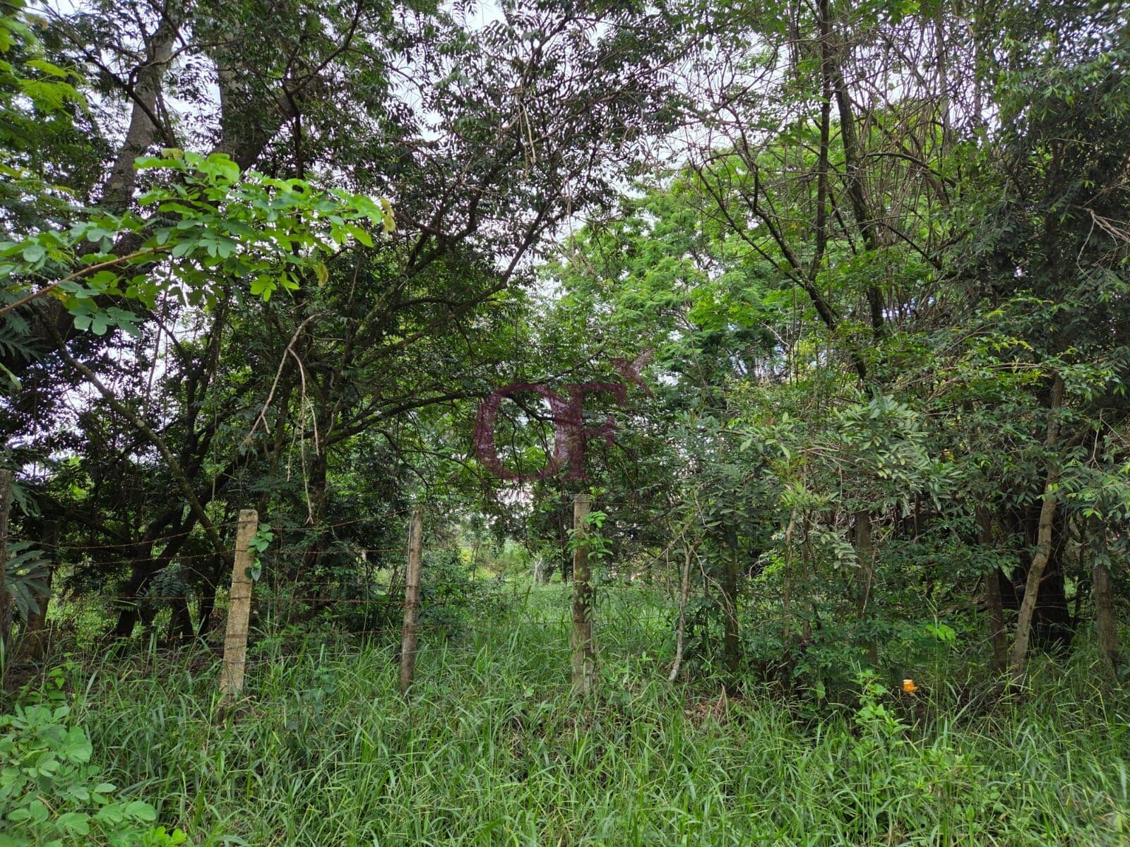 Terreno à Venda no Guacuri – Jundiaí/SP com 6.400m²