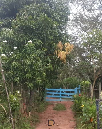 SÍTIO DE 7 HECTARES NO MUNICÍPIO DE SÃO SEBASTIÃO DO OESTE