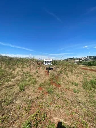 Lote/Terreno em Xanxerê - Tacca