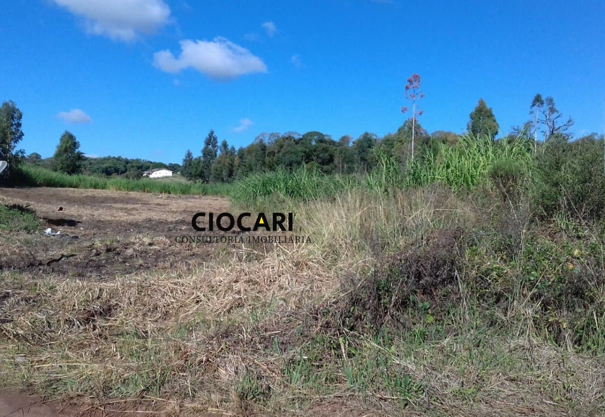 Chácara para Venda em Frederico Ferronato Xanxerê-SC