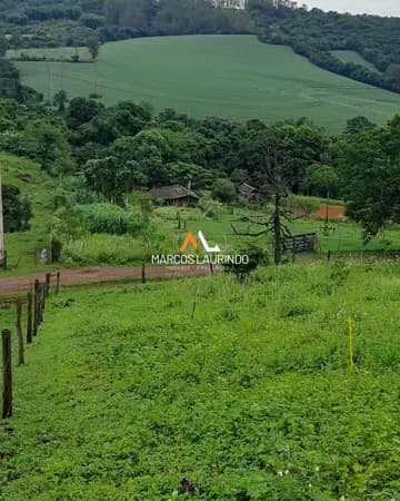 Sítio em Conjunto Habitacional Jamile Dequech, Londrina/PR