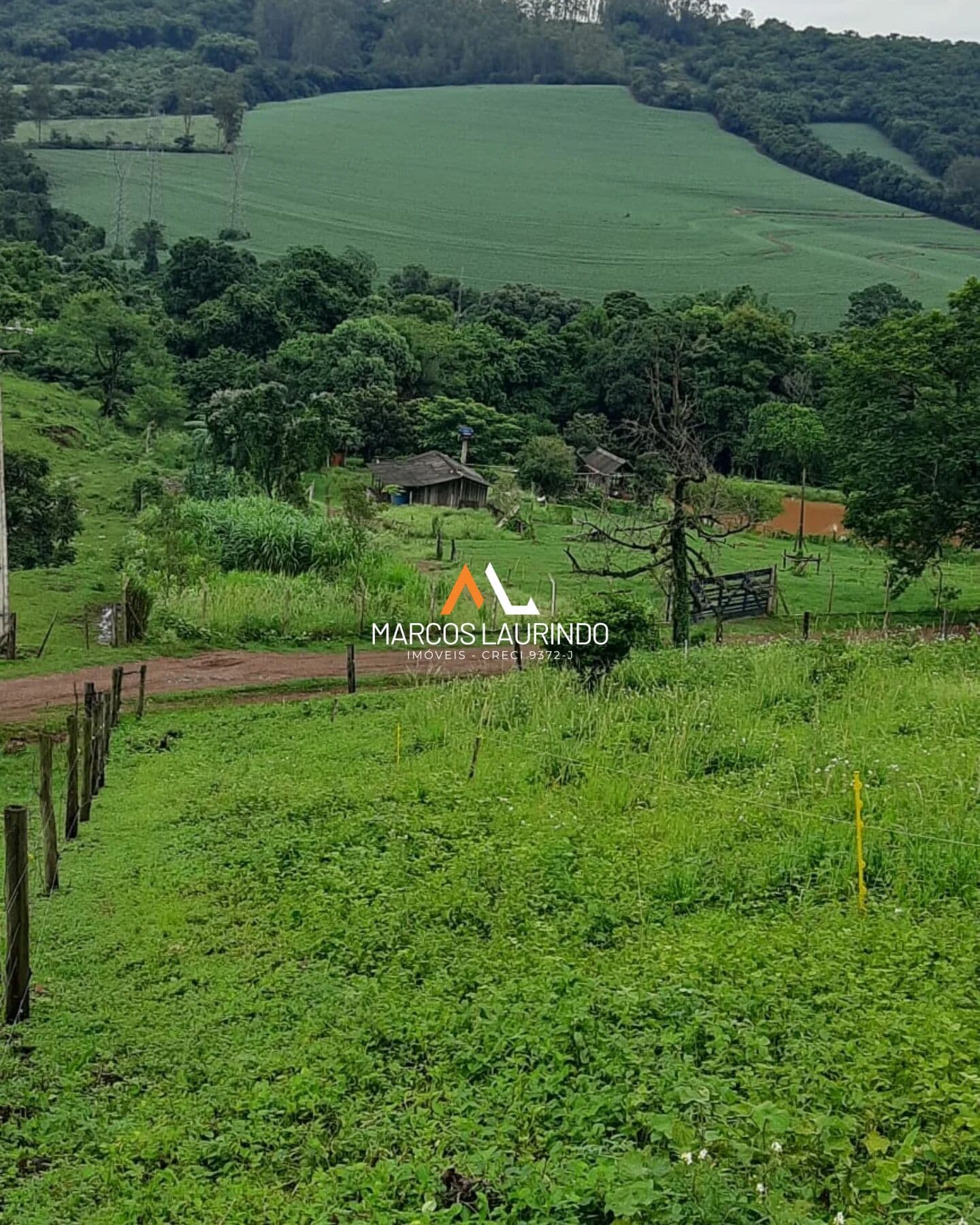 Sítio em Conjunto Habitacional Jamile Dequech, Londrina/PR