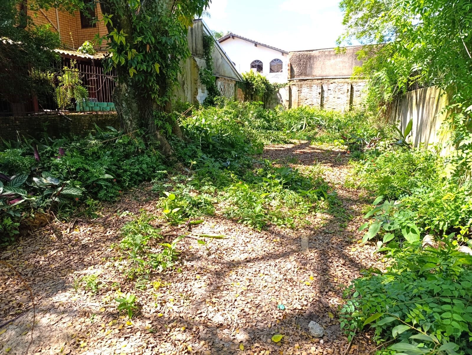 Terreno à venda Bairro Ipanema, em Porto Alegre RS