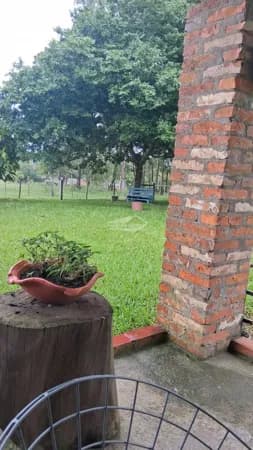 Fazenda/Sítios/Chácaras em Cachoeira do Sul - Três Vendas