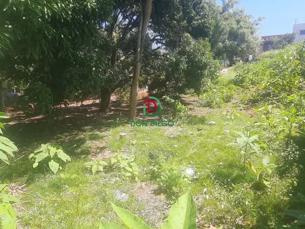 Terreno Lote em Califórnia, Londrina/PR