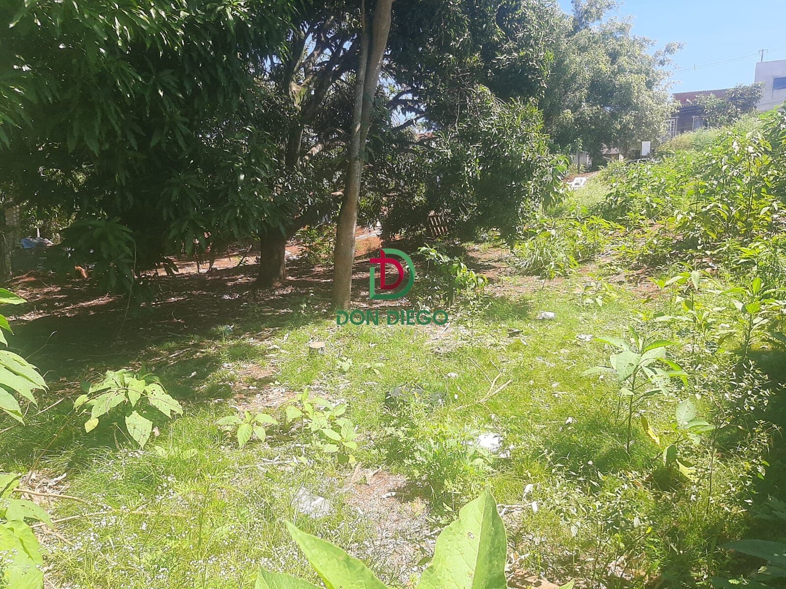 Terreno Lote em Califórnia, Londrina/PR