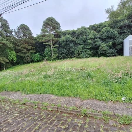 Terreno plano pronto para construir em Caxias do Sul